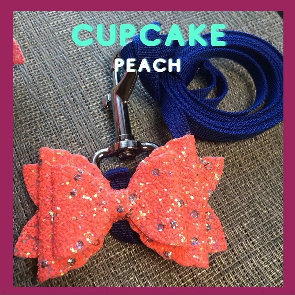 #14 Dog Leash and Detachable Bow Set in Sparkles🐾